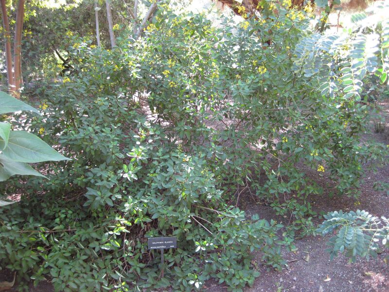 File:IMG 1976 hunt09oct.jpg