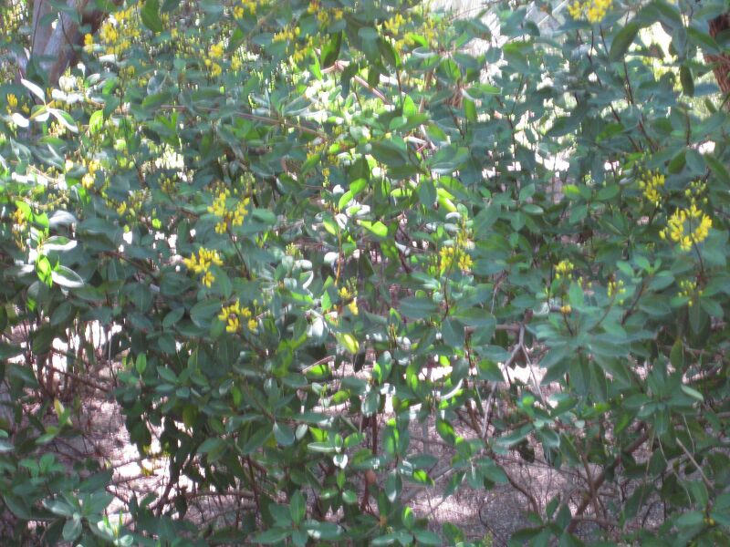 File:IMG 1977 hunt09oct.jpg