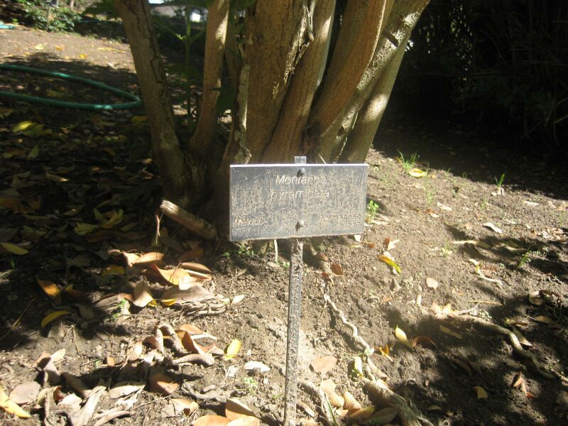 File:IMG 1978 hunt0903.jpg