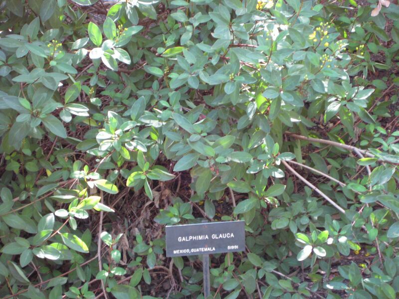 File:IMG 1978 hunt09oct.jpg