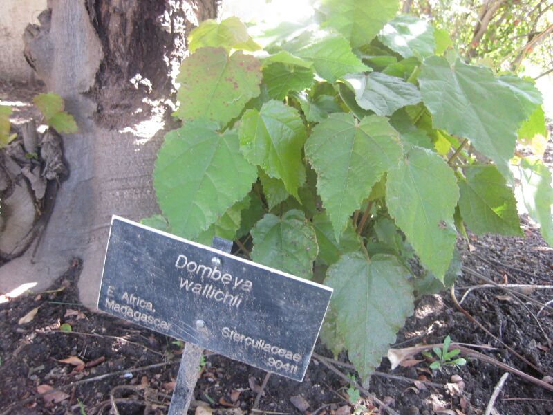 File:IMG 1988 hunt0903.jpg