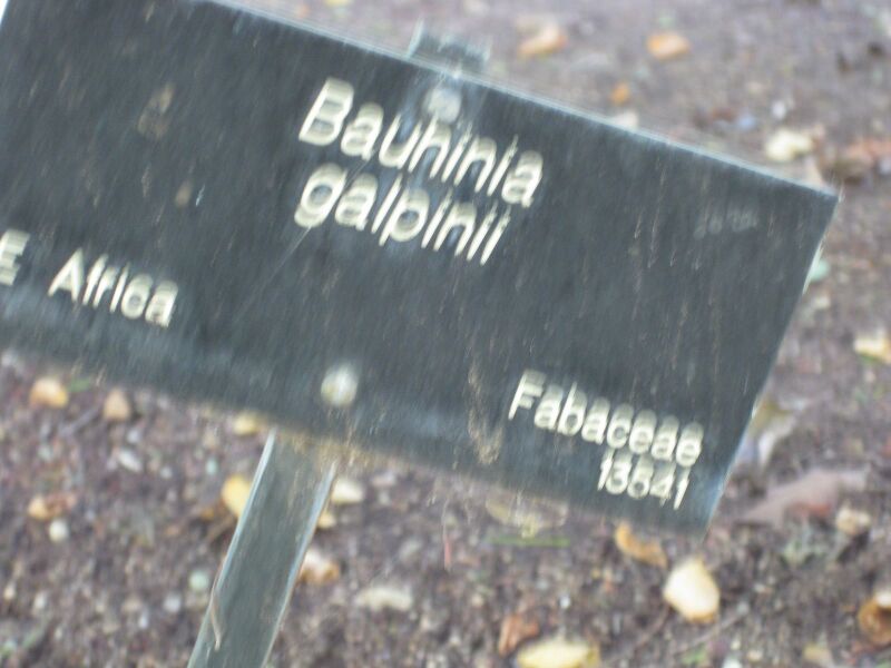 File:IMG 1989 hunt09oct.jpg