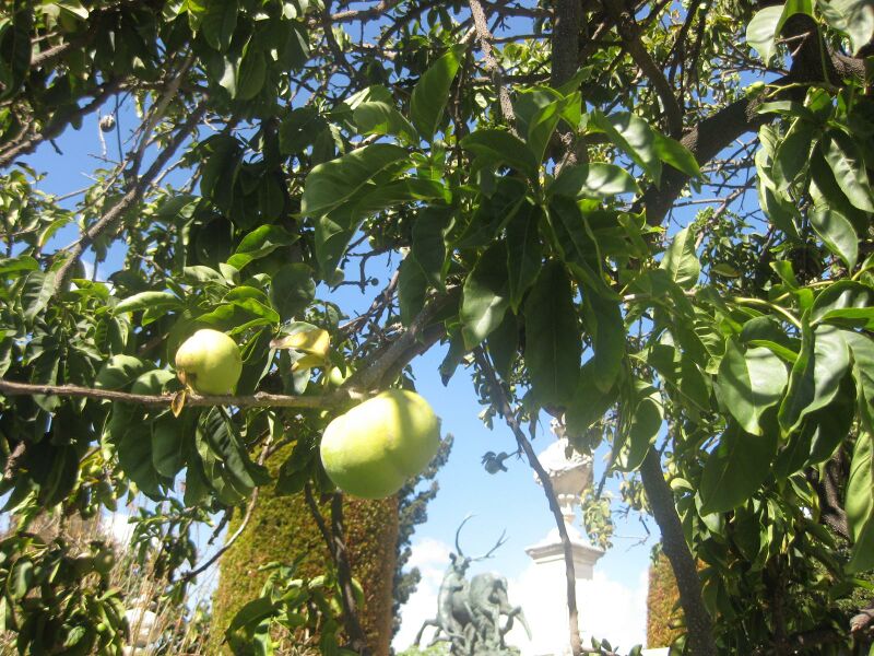 File:IMG 1990 hunt0903.jpg