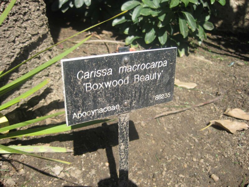 File:IMG 1997 hunt0903.jpg