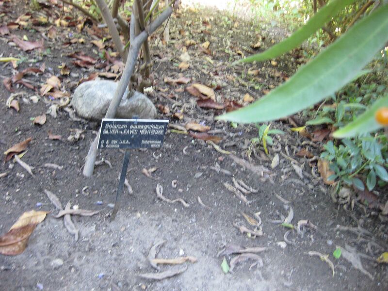 File:IMG 1999 hunt09oct.jpg