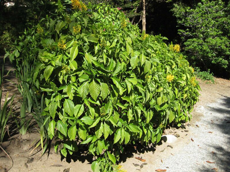 File:IMG 2000 hunt09oct.jpg