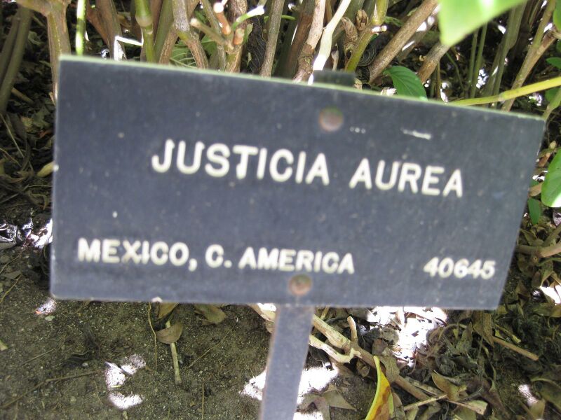 File:IMG 2003 hunt09oct.jpg