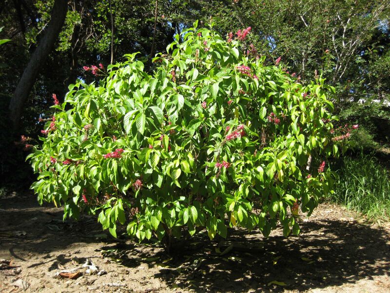 File:IMG 2004 hunt09oct.jpg