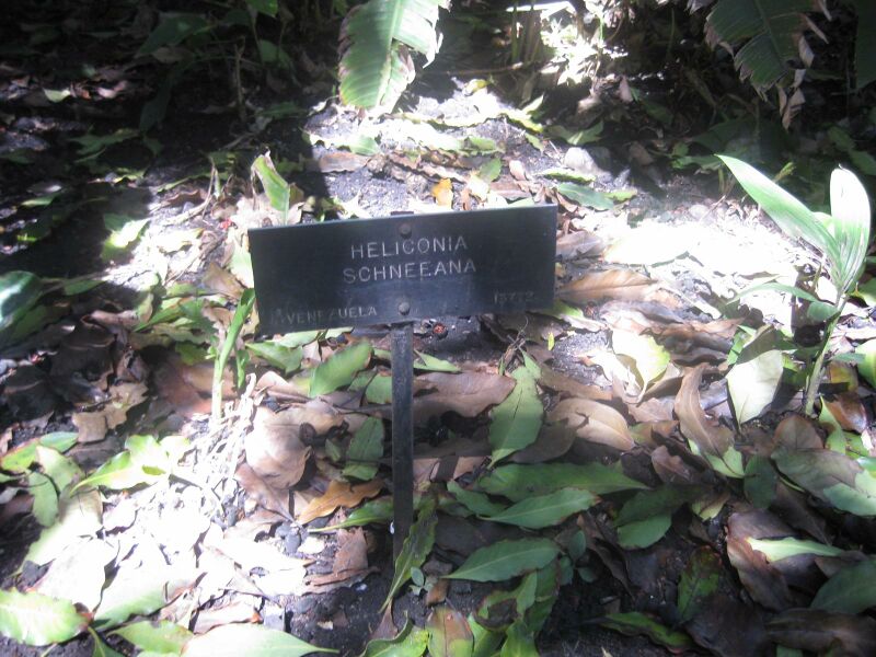 File:IMG 2005 hunt0903.jpg