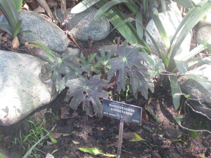 File:IMG 2007 hunt0903.jpg