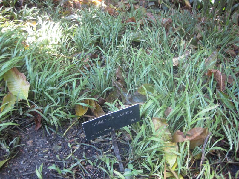 File:IMG 2008 hunt0903.jpg