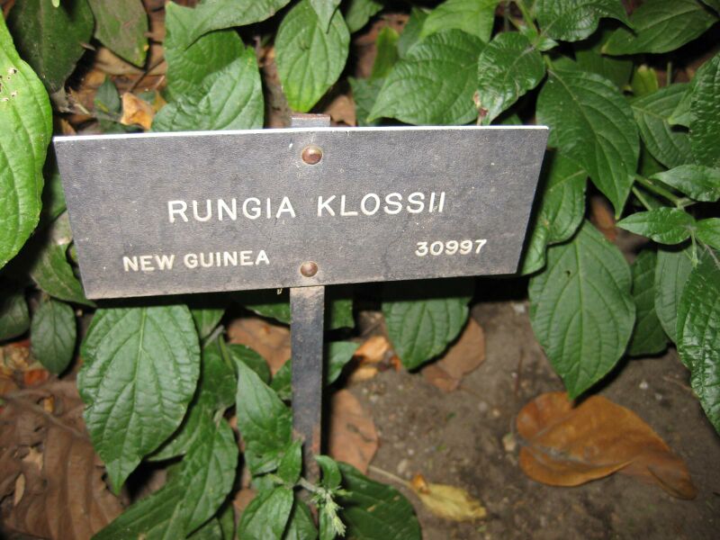 File:IMG 2009 hunt09oct.jpg