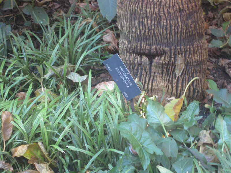 File:IMG 2010 hunt0903.jpg