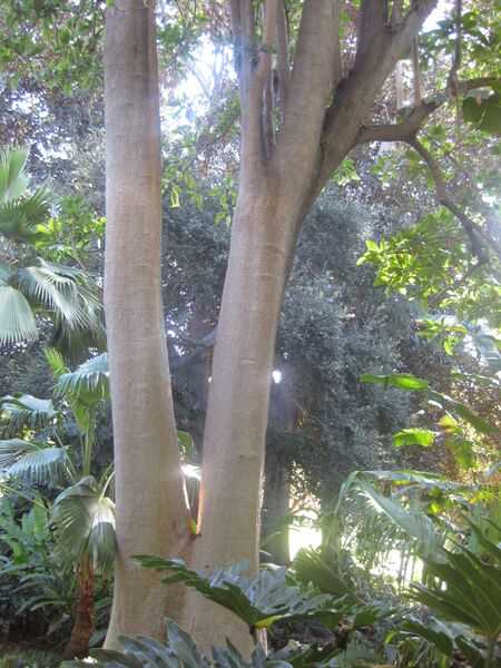 File:IMG 2011 hunt0903.jpg