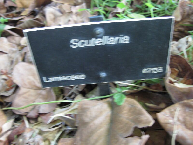 File:IMG 2014 hunt09oct.jpg