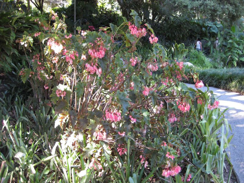 File:IMG 2016 hunt09oct.jpg