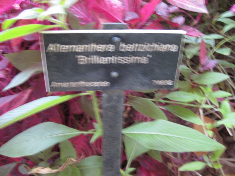 File:IMG 2020 hunt09oct.jpg