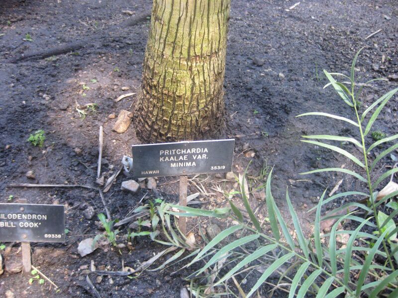 File:IMG 2022 hunt0903.jpg