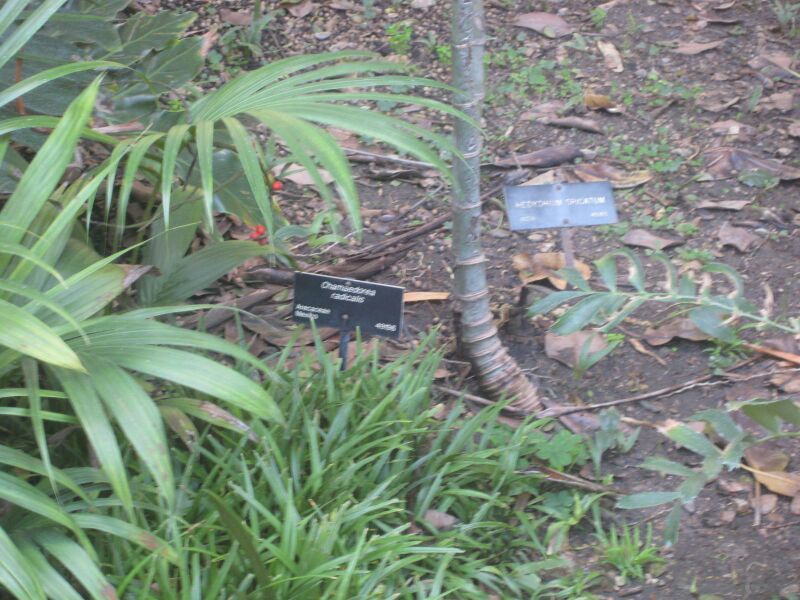 File:IMG 2024 hunt0903.jpg