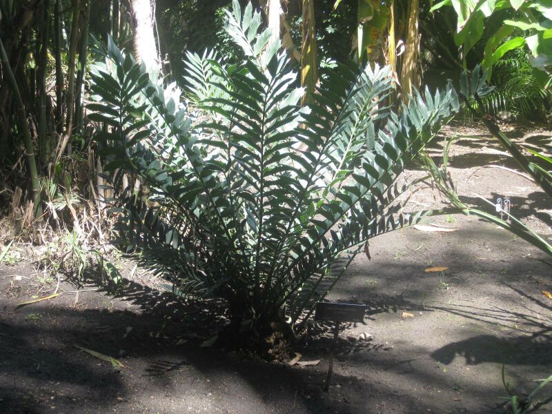 File:IMG 2025 hunt0903.jpg