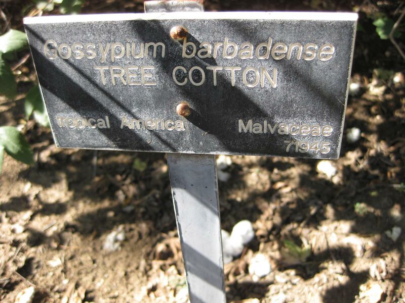 File:IMG 2028 hunt09oct.jpg