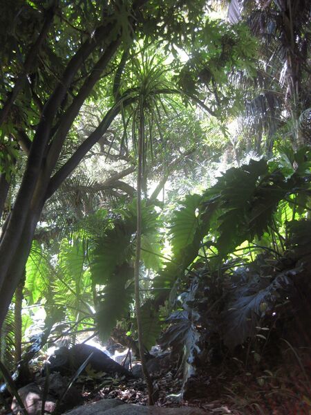 File:IMG 2029 hunt0903.jpg