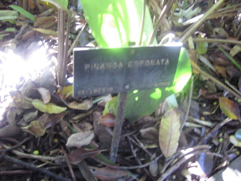 File:IMG 2033 hunt0903.jpg