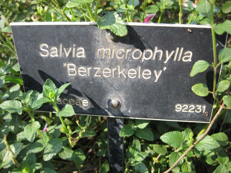 File:IMG 2039 hunt09oct.jpg