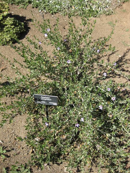 File:IMG 2042 hunt09oct.jpg