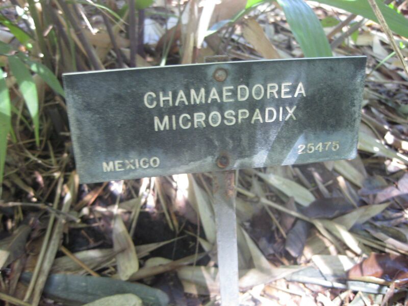 File:IMG 2050 hunt0903.jpg