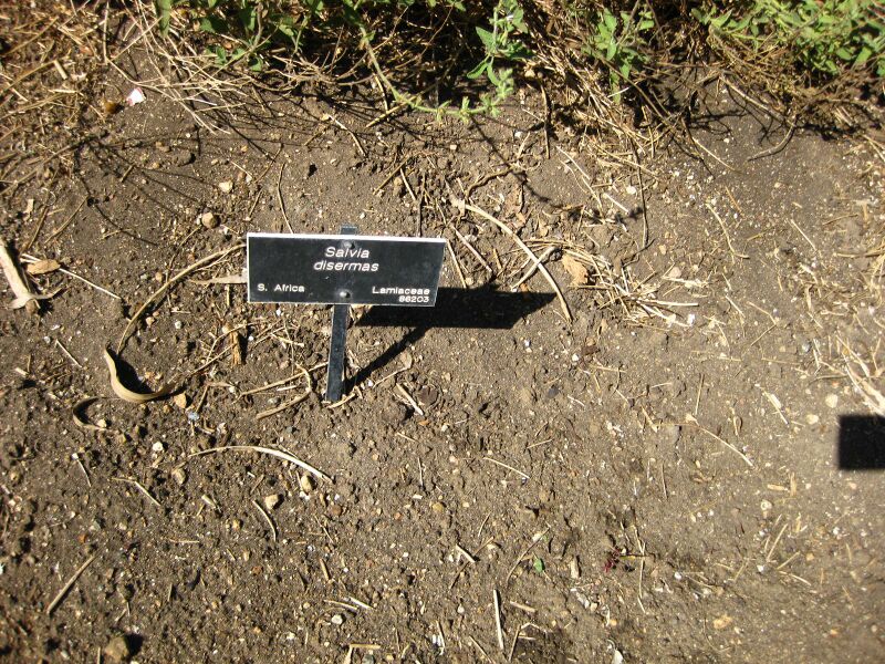 File:IMG 2052 hunt09oct.jpg