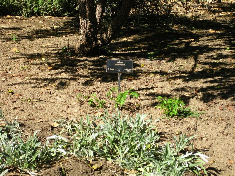 File:IMG 2055 hunt09oct.jpg