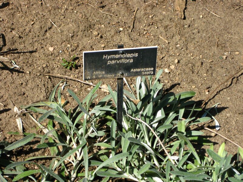 File:IMG 2057 hunt09oct.jpg