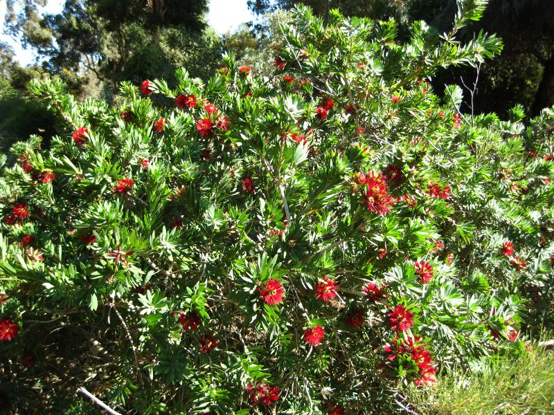 File:IMG 2058 hunt09oct.jpg