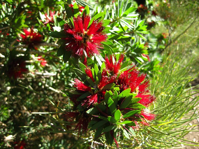 File:IMG 2060 hunt09oct.jpg