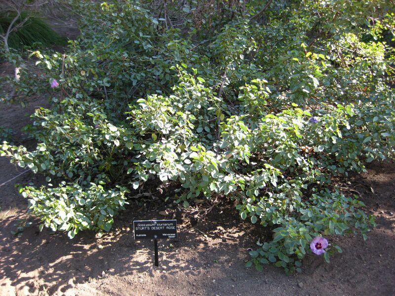 File:IMG 2061 hunt09oct.jpg