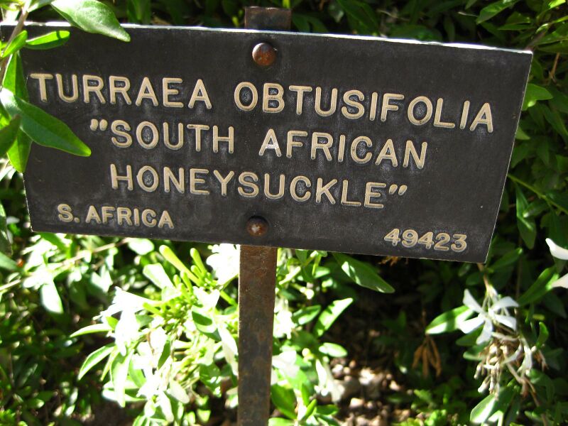 File:IMG 2066 hunt09oct.jpg