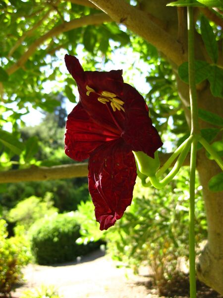 File:IMG 2070 hunt09oct.jpg