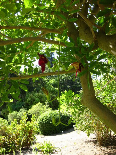 File:IMG 2072 hunt09oct.jpg