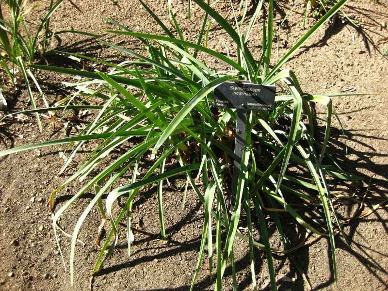 File:IMG 2073 hunt09oct.jpg