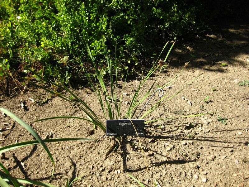 File:IMG 2074 hunt09oct.jpg