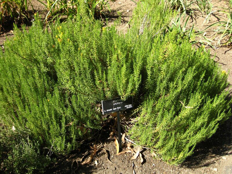 File:IMG 2075 hunt09oct.jpg