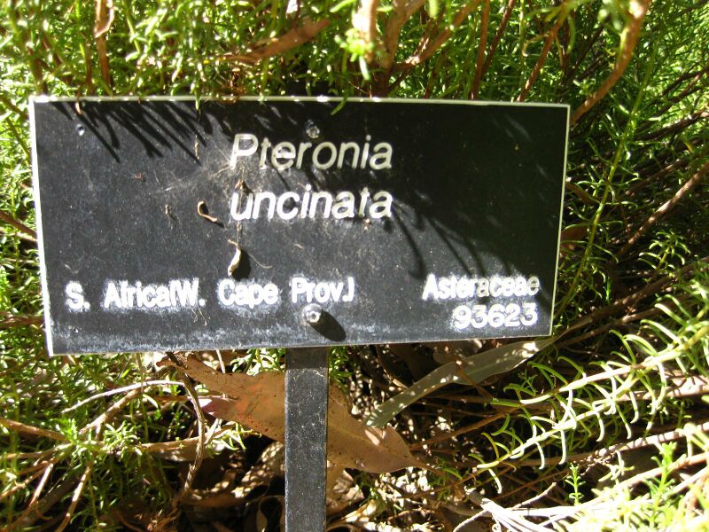 File:IMG 2076 hunt09oct.jpg