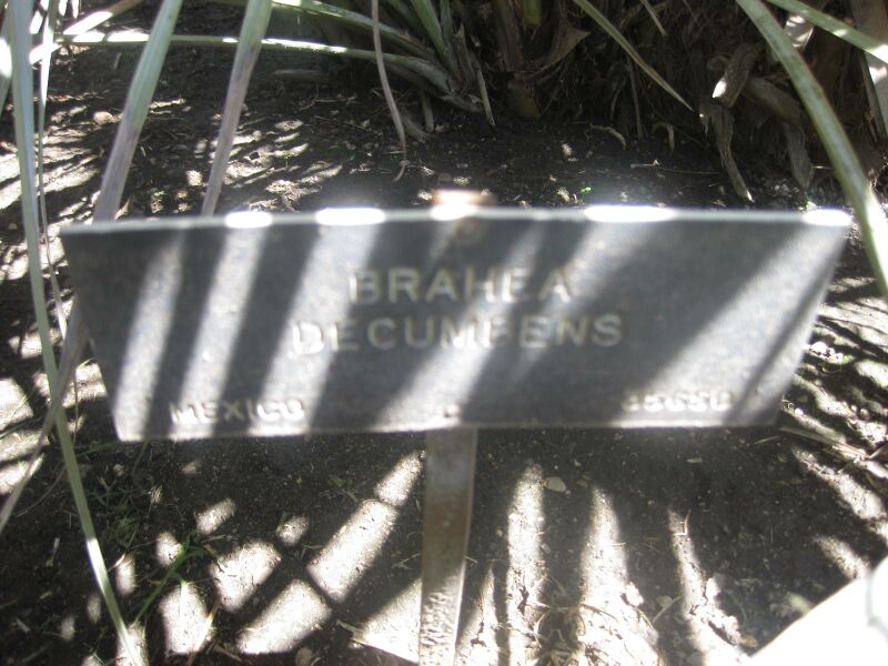 File:IMG 2077 hunt0903.jpg