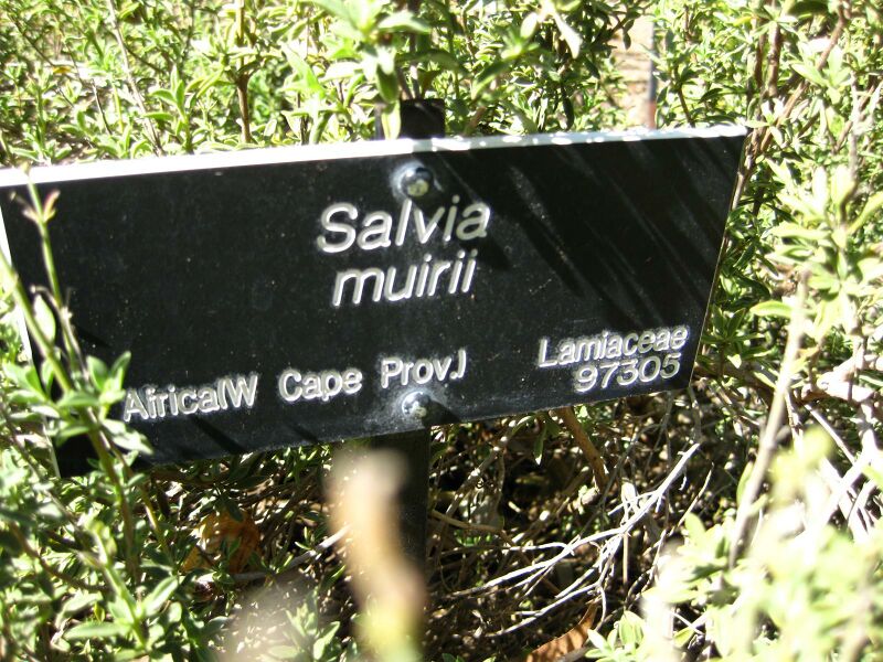 File:IMG 2078 hunt09oct.jpg