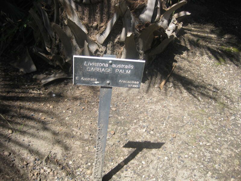 File:IMG 2080 hunt0903.jpg