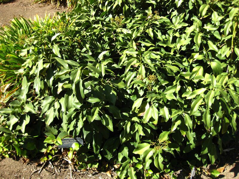 File:IMG 2081 hunt09oct.jpg