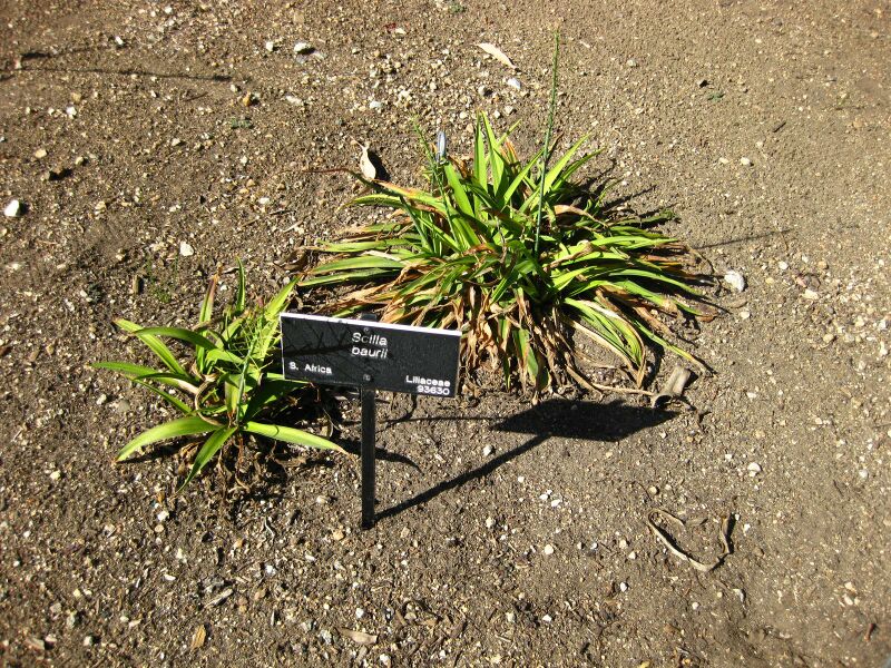 File:IMG 2082 hunt09oct.jpg