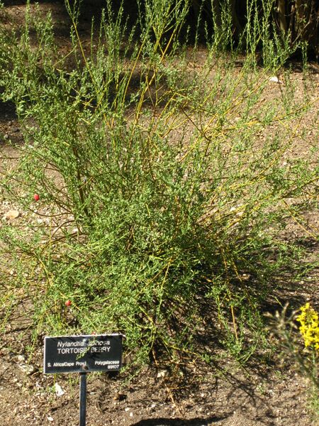 File:IMG 2084 hunt09oct.jpg