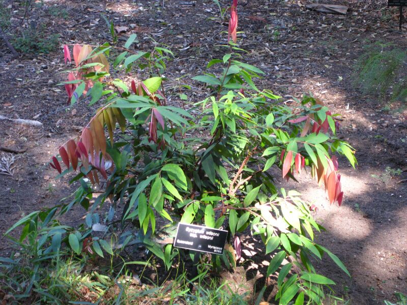 File:IMG 2087 hunt09oct.jpg